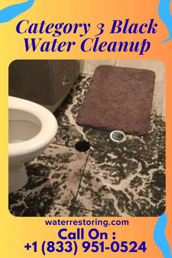 Category 3 Black Water Cleanup in Velma, OK